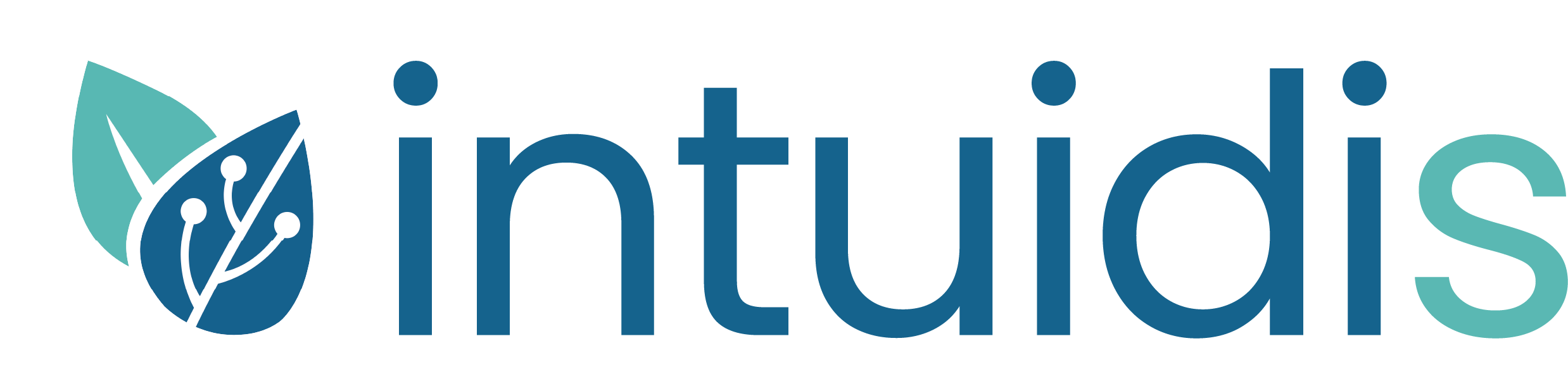 Intuidis
